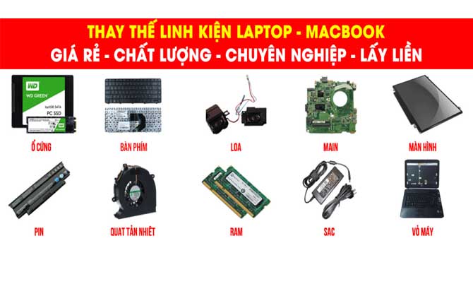 Phụ kiện 